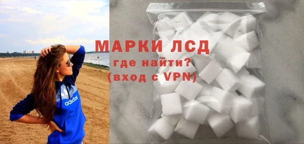 шишки Аркадак
