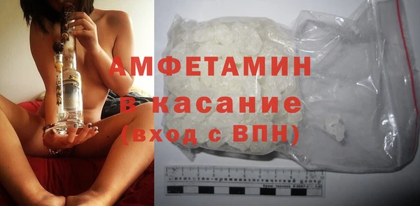 шишки Аркадак