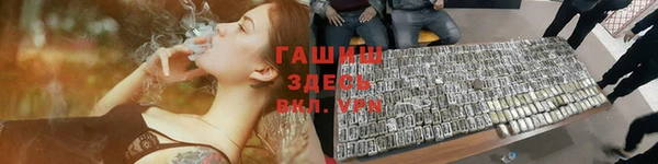 шишки Аркадак
