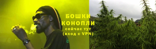 шишки Аркадак