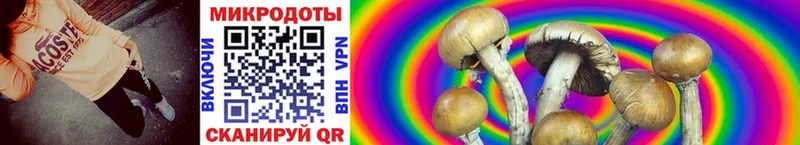 Псилоцибиновые грибы Magic Shrooms  kraken онион  Багратионовск 